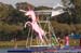 Red Bull Flugtag / September 2005