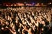 Hayehudim live in Nizanim / August 2004
