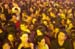 The Beer City Festival with Ivri Lider, Hemi Rudner, Yirmi Kaplan and Others