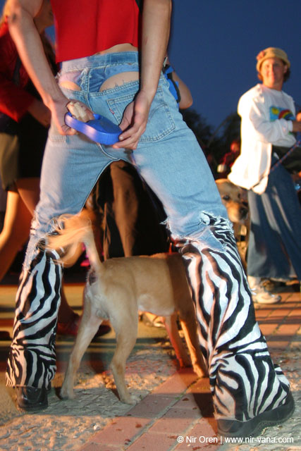 Jerusalem pride event / June 2004