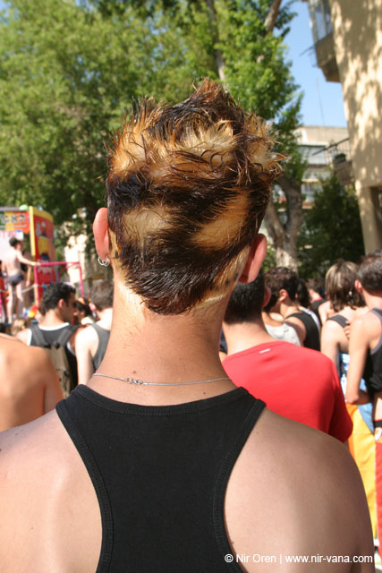 Tel Aviv pride parade / June 2004