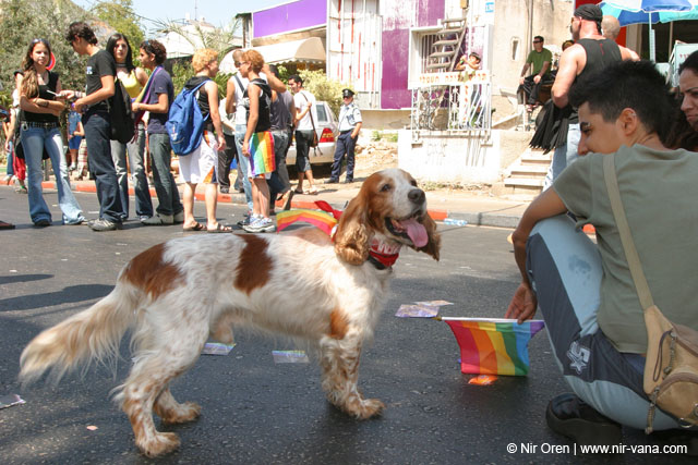 Tel Aviv pride parade / June 2004