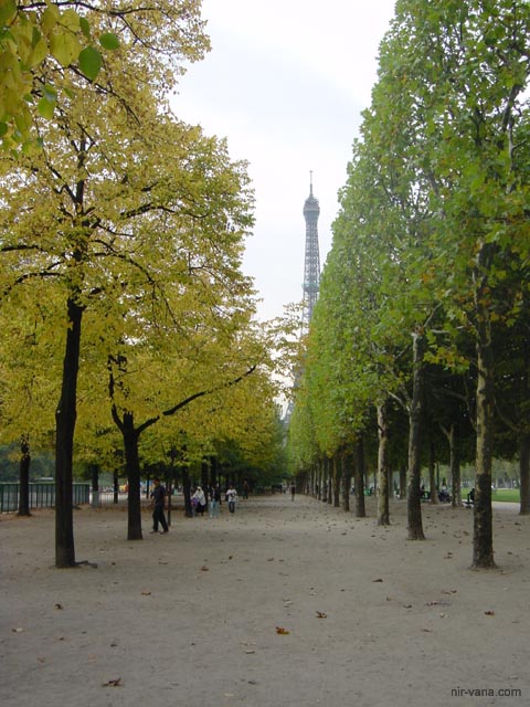 P2106 Tour Eiffel from SE