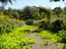 P1116 Claude Monet gardens - arcs