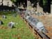 P1302 Doves in Jardins du Luxembourg