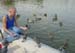 P1945 Me feeding birds in Tuileries