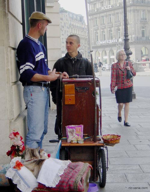 P1835 Music box