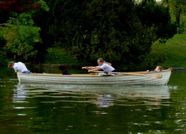 P2484 Rowboat