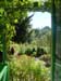 P1115 Claude Monet garden through the window