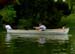 P2484 Rowboat