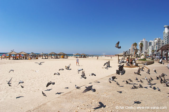 Summer 2005 in Tel Aviv Beaches