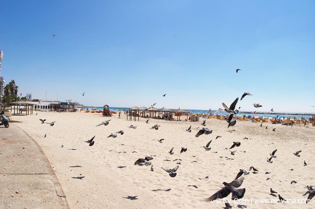 Summer 2005 in Tel Aviv Beaches