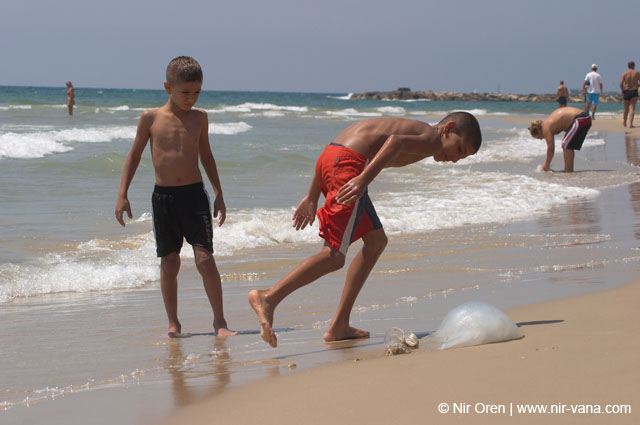 Summer 2005 in Tel Aviv Beaches