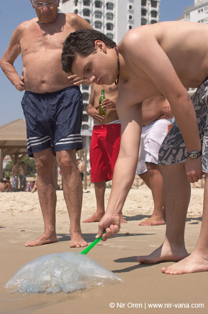 Summer 2005 in Tel Aviv Beaches