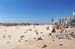 Summer 2005 in Tel Aviv Beaches