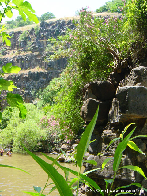 Rappelling in Yehudia Waterfall