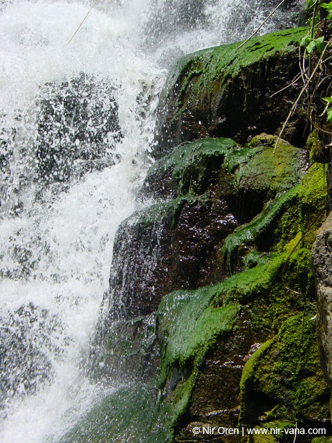 Rappelling in Yehudia Waterfall