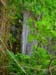 Rappelling in Yehudia Waterfall