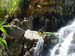 Rappelling in Yehudia Waterfall