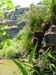 Rappelling in Yehudia Waterfall