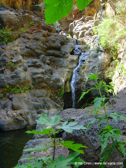 Rappelling Trek in Zavitan Stream Black Canyon