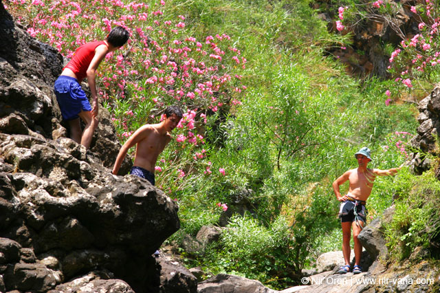 Rappelling Trek in Zavitan Stream Black Canyon