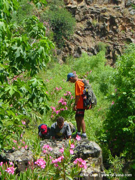Rappelling Trek in Zavitan Stream Black Canyon