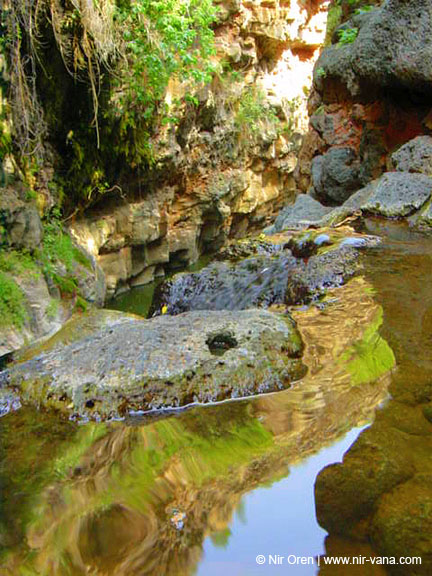 Rappelling Trek in Zavitan Stream Black Canyon