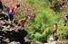 Rappelling Trek in Zavitan Stream Black Canyon