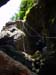 Rappelling Trek in Zavitan Stream Black Canyon