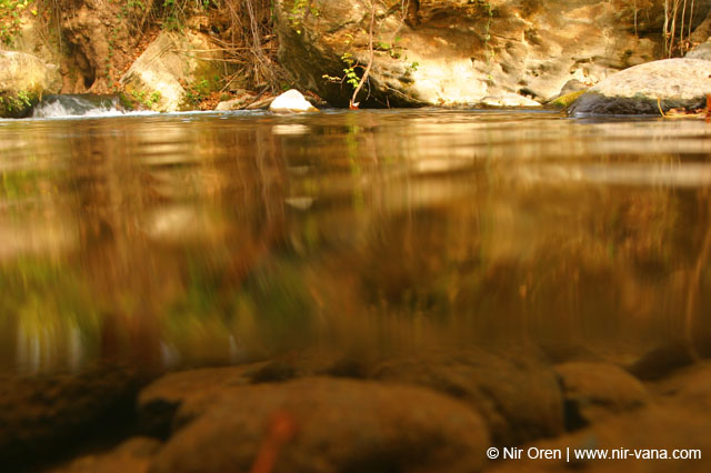 Water in the Banias Waterfall and Birds in Agmon Hachula / December 2003