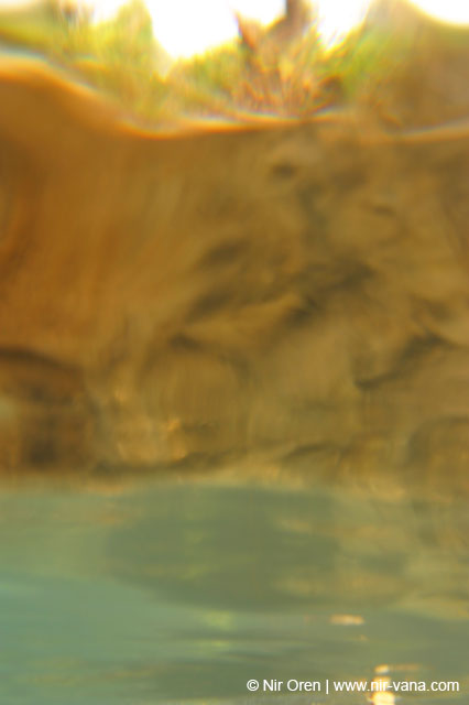 Water in the Banias Waterfall and Birds in Agmon Hachula  / December 2003