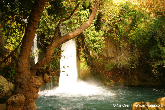 Water in the Banias Waterfall and Birds in Agmon Hachula / December 2003