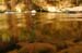 Water in the Banias Waterfall and Birds in Agmon Hachula  / December 2003