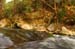 Water in the Banias Waterfall and Birds in Agmon Hachula  / December 2003