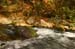 Water in the Banias Waterfall and Birds in Agmon Hachula  / December 2003