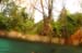 Water in the Banias Waterfall and Birds in Agmon Hachula  / December 2003
