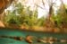 Water in the Banias Waterfall and Birds in Agmon Hachula  / December 2003