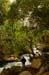 Water in the Banias Waterfall and Birds in Agmon Hachula  / December 2003