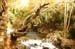 Water in the Banias Waterfall and Birds in Agmon Hachula  / December 2003