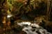 Water in the Banias Waterfall and Birds in Agmon Hachula  / December 2003