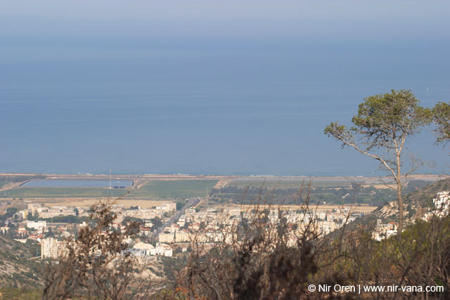Mount Carmel After A Forest Fire