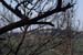 Mount Carmel After A Forest Fire