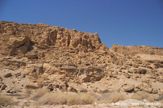 The Dead Sea