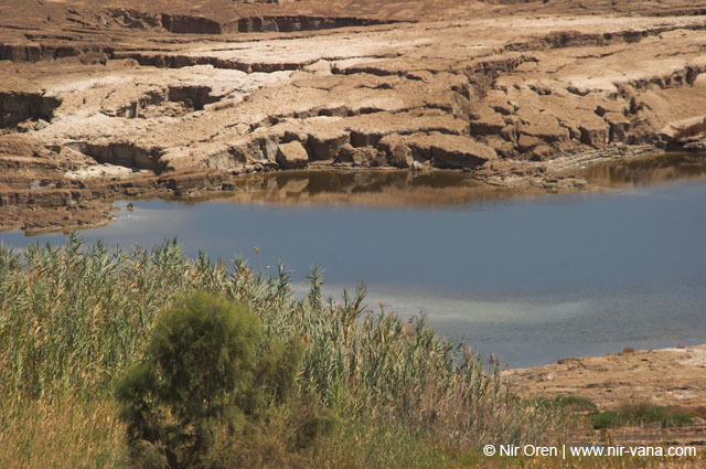 The Dead Sea