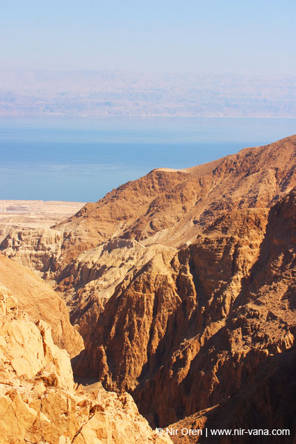 The Dead Sea
