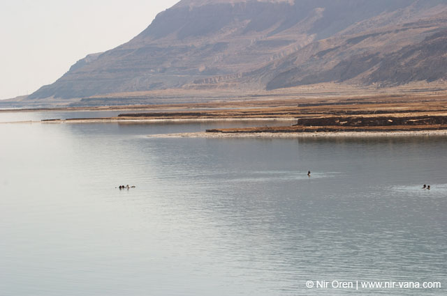 The Dead Sea
