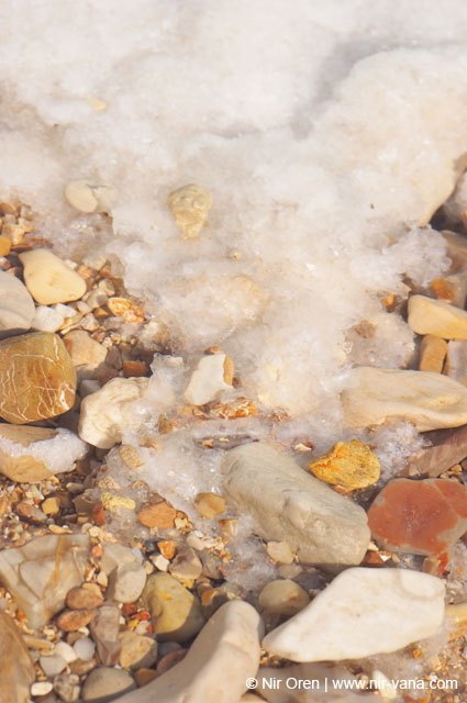 The Dead Sea