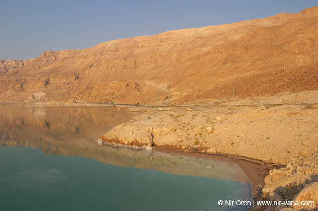 The Dead Sea
