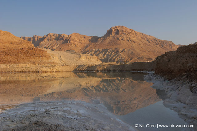 The Dead Sea